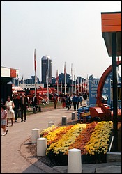 150.JPG
