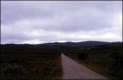 165.JPG