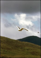 166.JPG
