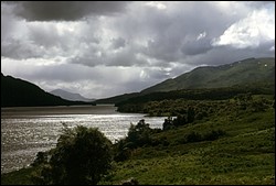 171.JPG
