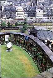 178.JPG