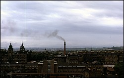 183.JPG