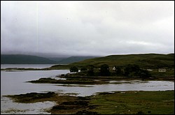 185.JPG