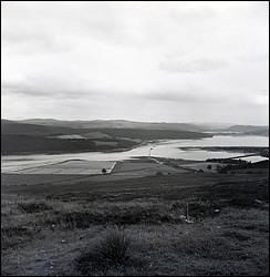 185_1.jpg