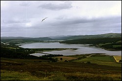 186.JPG