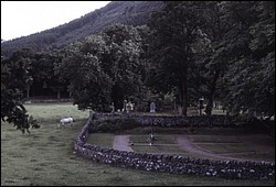 187.JPG