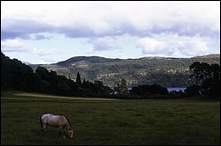 191.JPG