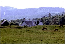 194.JPG