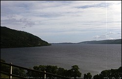 196.JPG