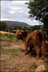 197.JPG