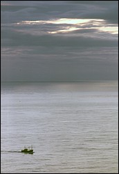 203.JPG