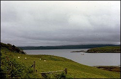 204.JPG