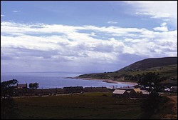208.JPG