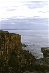 210.JPG