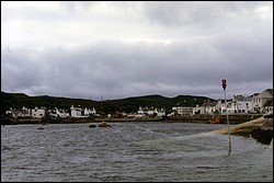 219.JPG