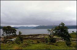 221.JPG
