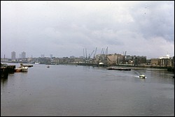 226.JPG