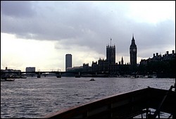 229.JPG