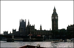 231.JPG