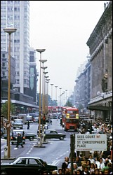 235.JPG