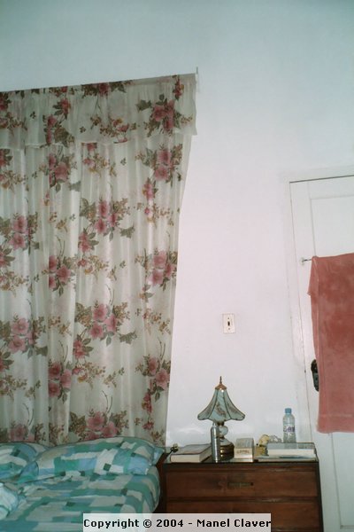 005_3.JPG