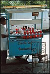 005_3.JPG