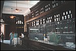008_DR.JPG