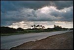 010_8.JPG