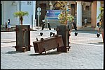 008_6.JPG