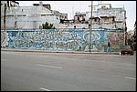 018_16.JPG