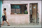019_17.JPG