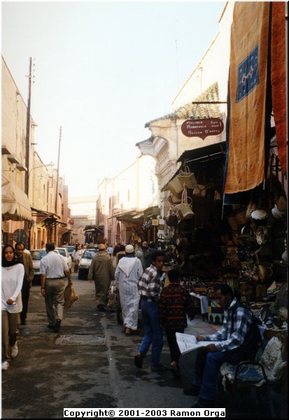 59.JPG