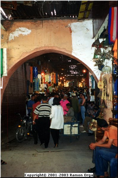 66.JPG