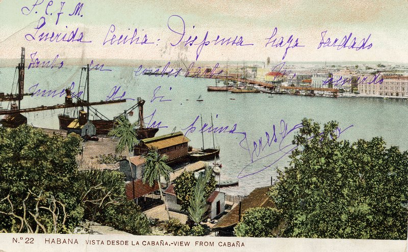 391.jpg