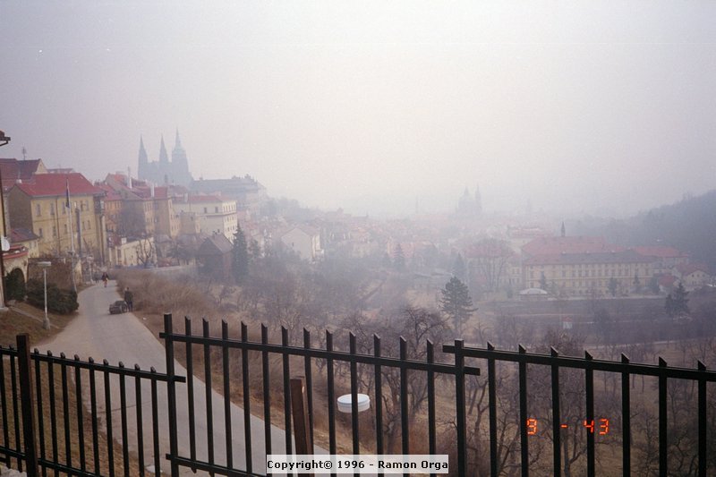 IMG0018.jpg