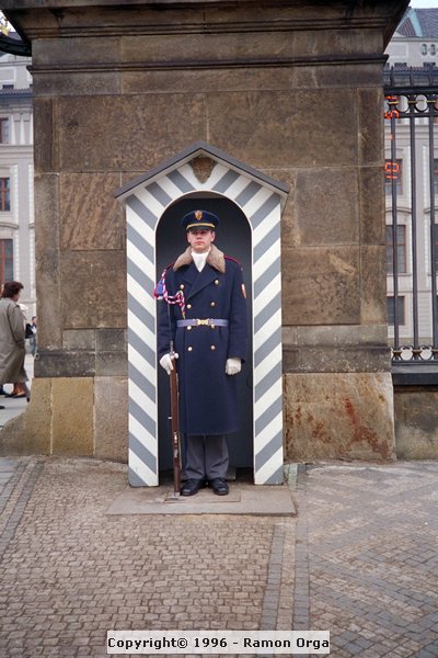 IMG0024.jpg