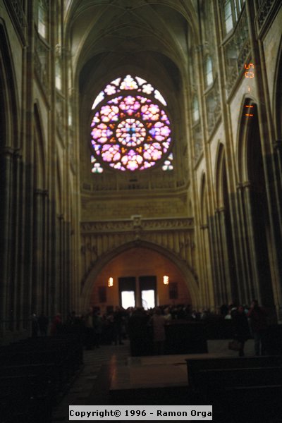 IMG0031.jpg