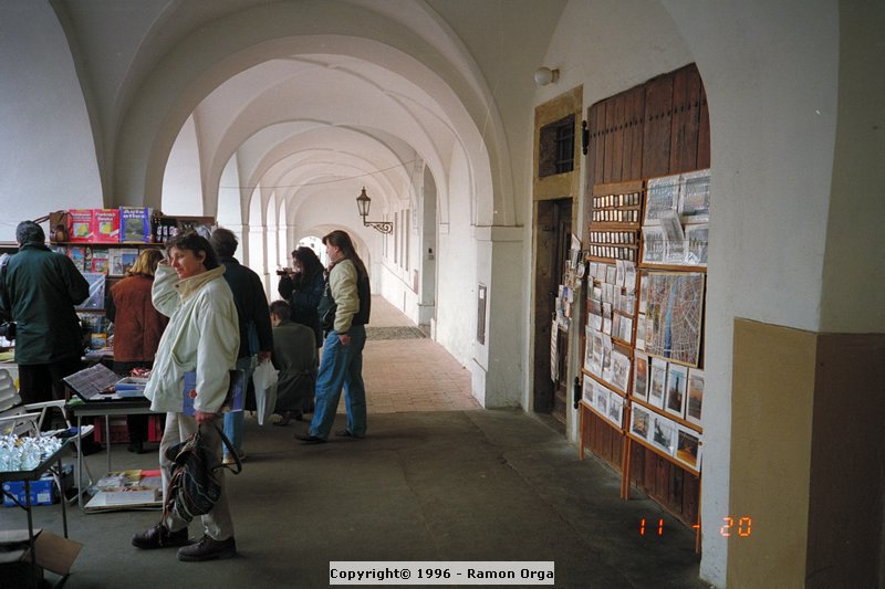 IMG0061.jpg