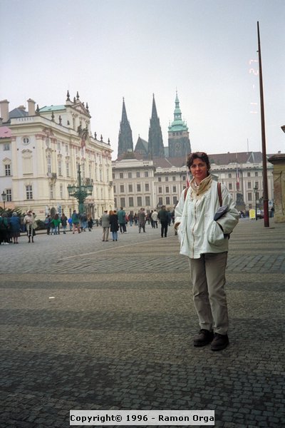 IMG0062.jpg