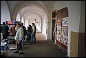 IMG0061.jpg