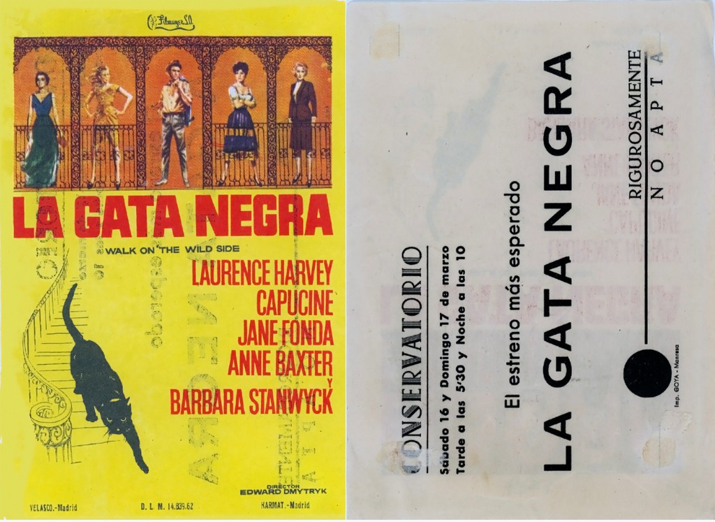 la_gata_negra.jpg