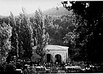 042.jpg