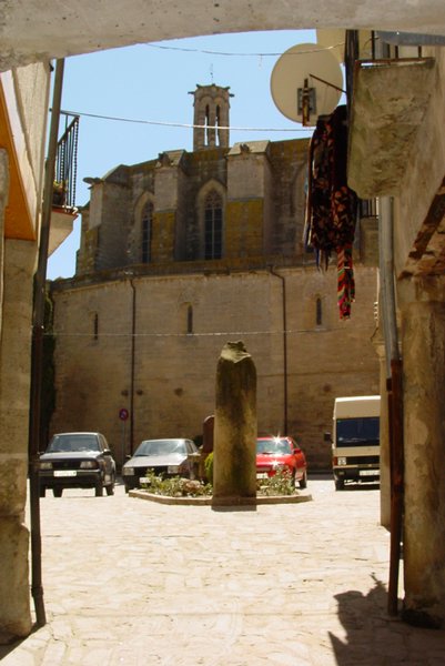 DSC02276.jpg
