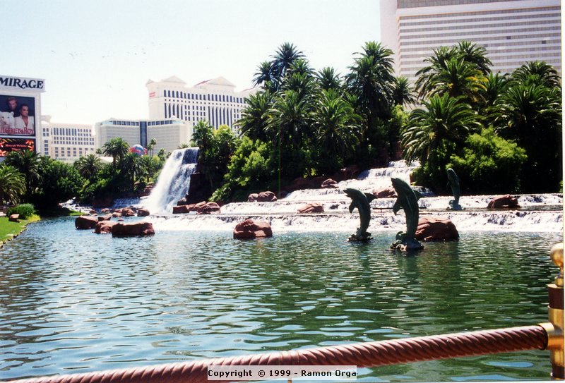 135.jpg
