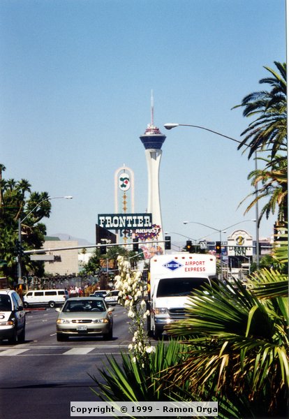 137.jpg
