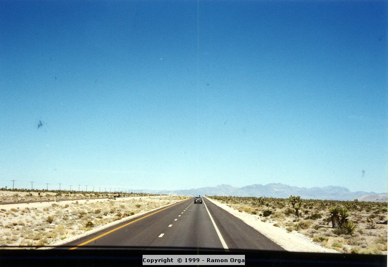 141.jpg