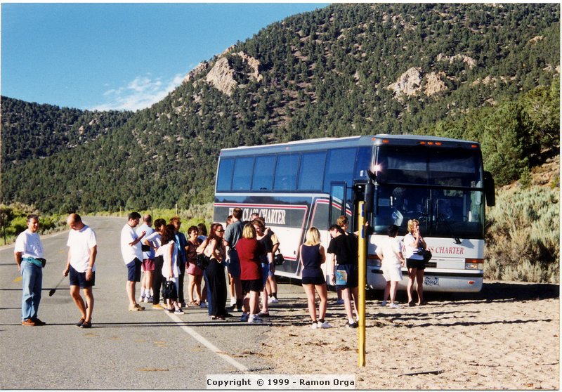 145.jpg