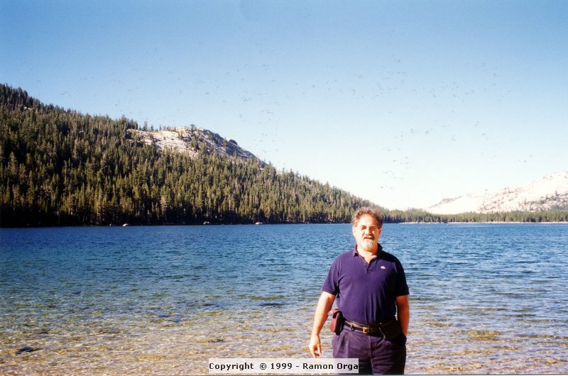 154.jpg