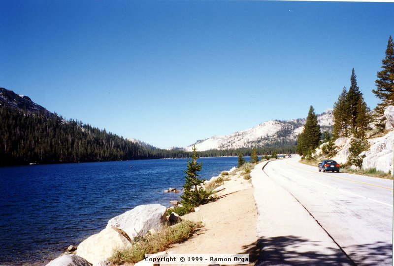 155.jpg