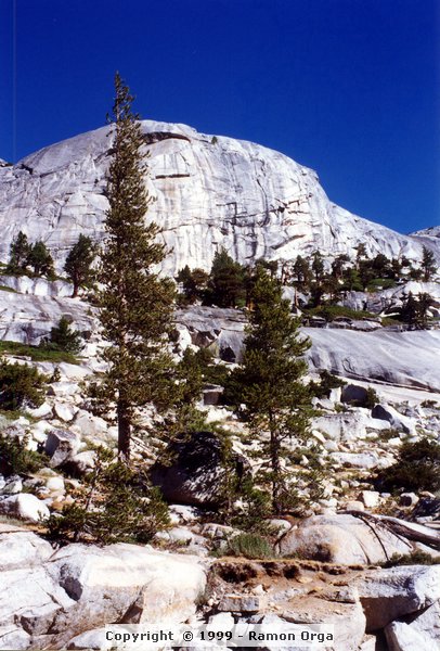 156.jpg